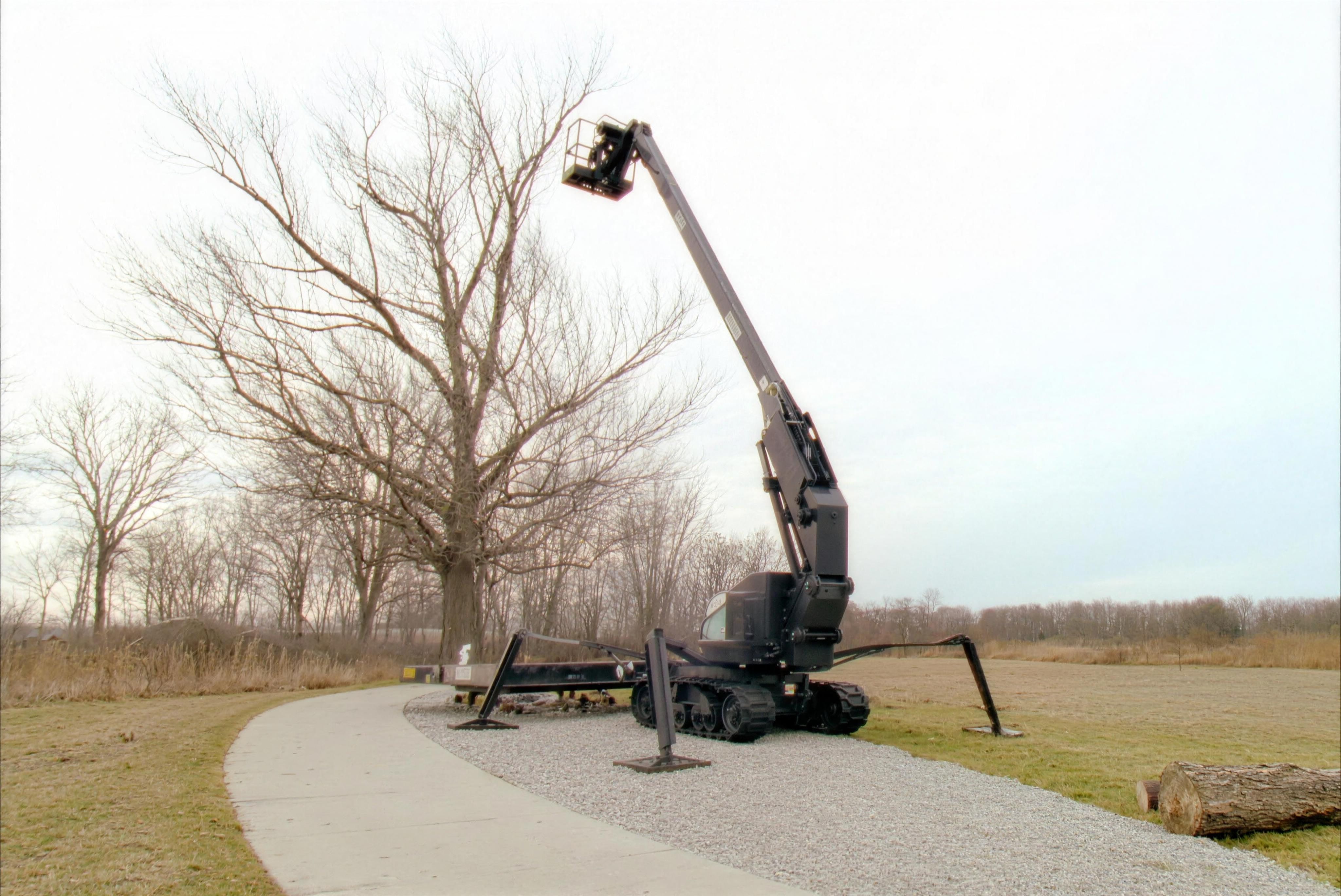 Tracked arborist lift standing on its outriggers beside a paved path, boom extended into a bare hardwood on the edge of a flat open field