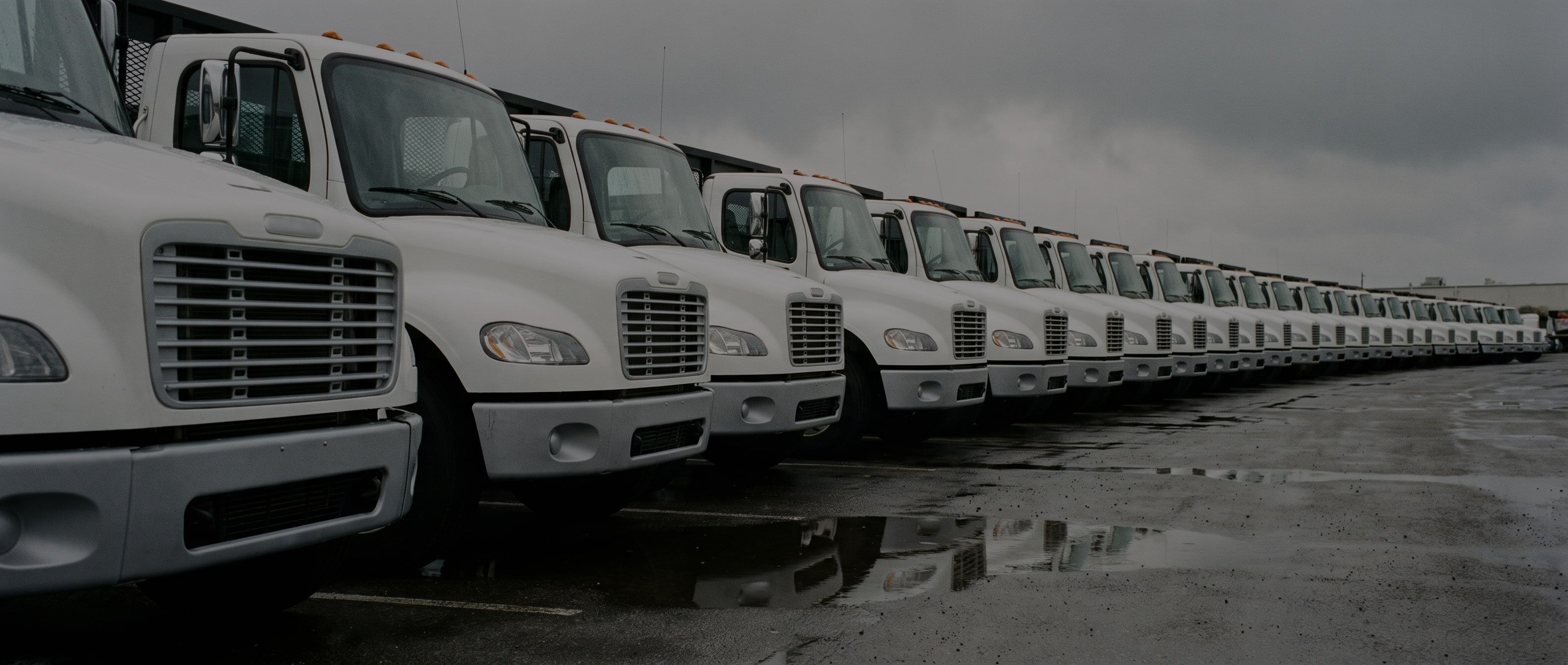 A long row of identical white work trucks parked in an equipment yard under overcast sky