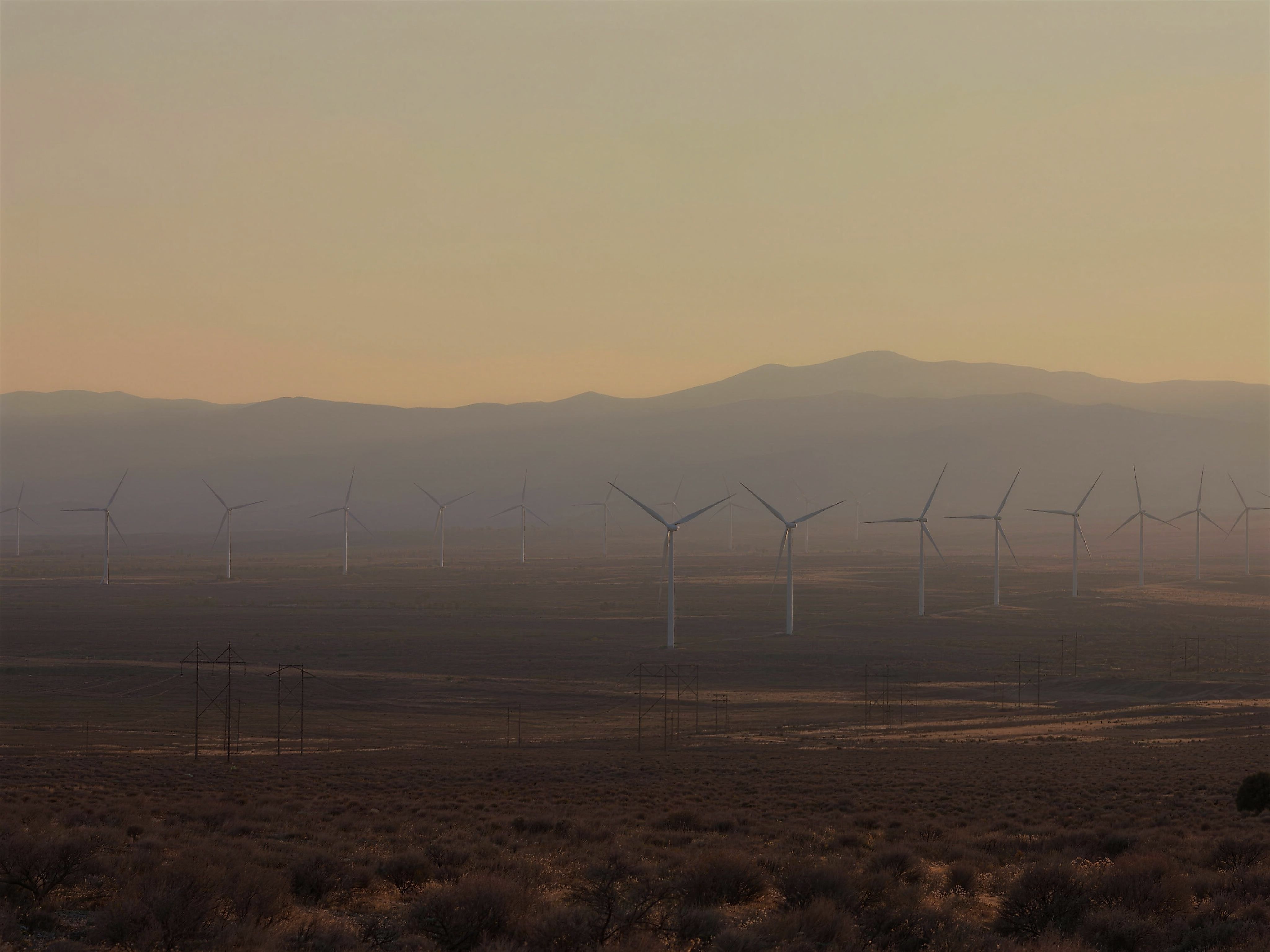 A wind farm at dusk: rows of turbines receding across open scrubland toward low hills, with transmission pylons in the middle distance